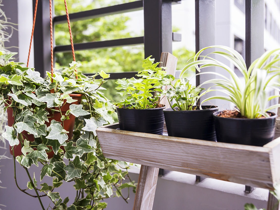 retail-img-map-2-min retail-img-map-2-min